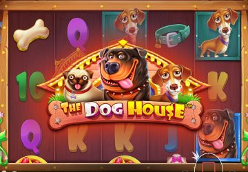 NOVOMATIC - игровой автомат онлайн от Various с RTP 95.12%